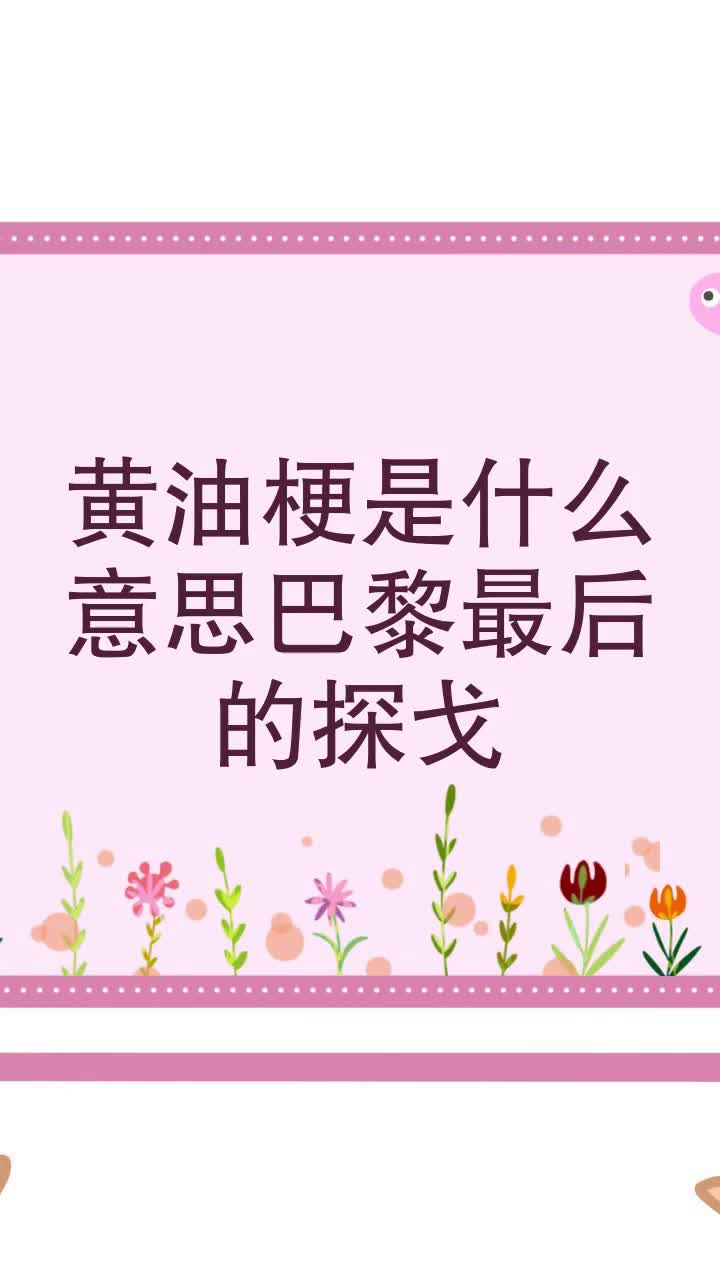 黄油梗是什么意思巴黎最后的探戈