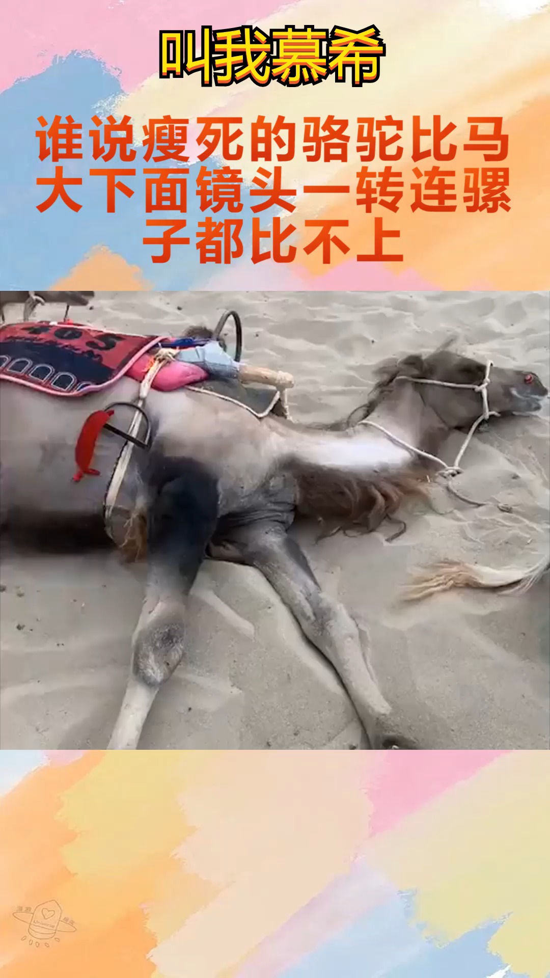 我要上热门#谁说瘦死的骆驼比马大,下面镜头一转,连骡子都比不上.