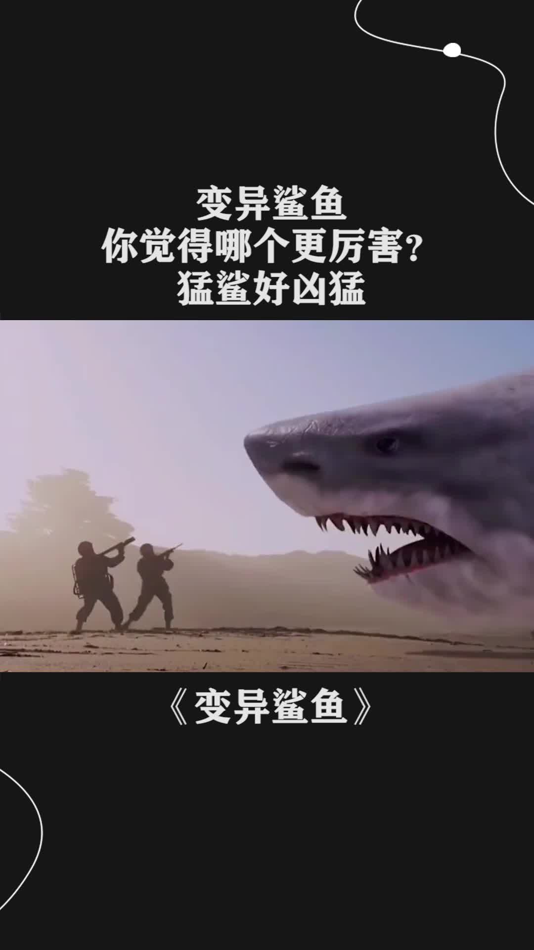 变异鲨鱼你觉得哪个更厉害猛鲨好凶猛