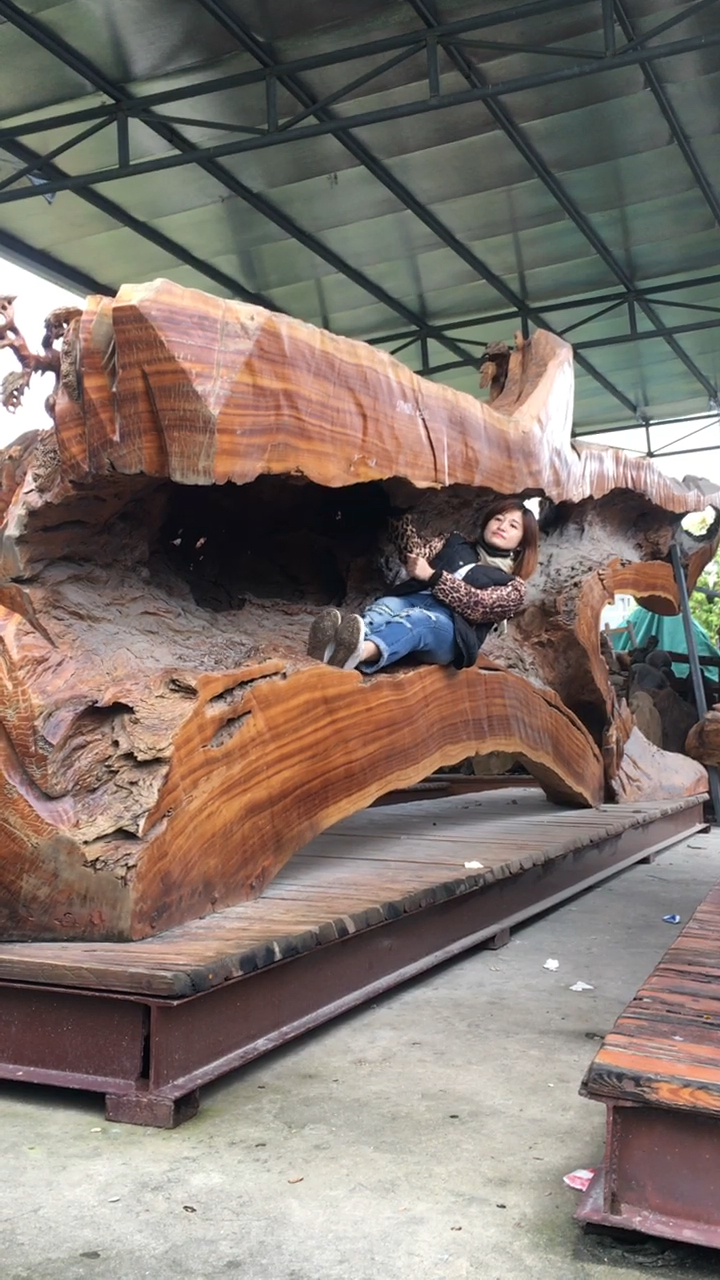 惊呆百万人 睡了九年的树床