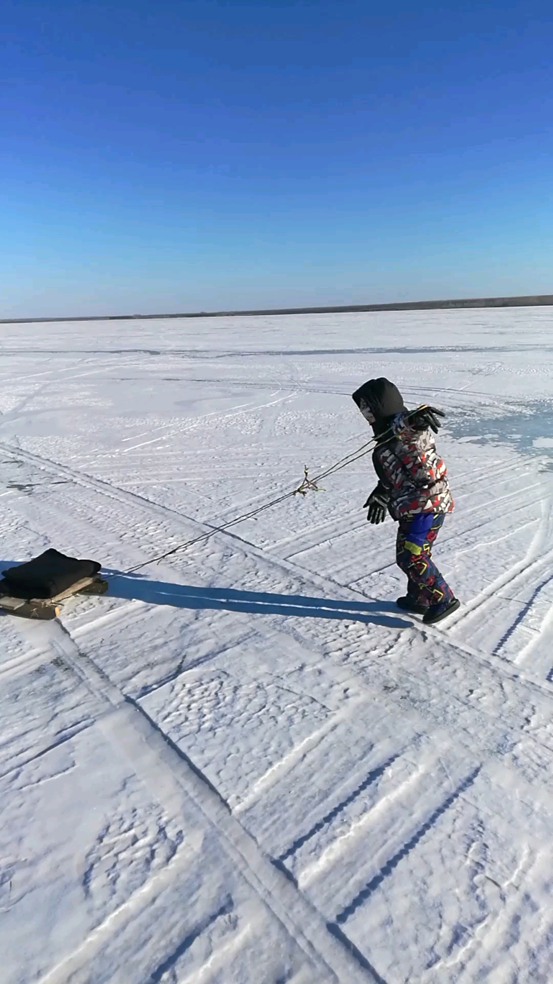 南方人的雪地仪式感有多强#冰雪上拉爬犁,北方人小时候的冰雪欢乐!