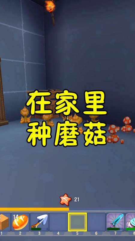 迷你世界#王木薯极限生存41:种竹子做花田,顺便在家里种蘑菇!