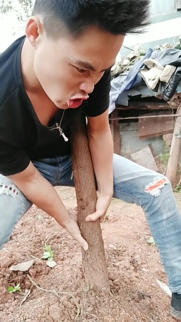 拔树功!大力士!
