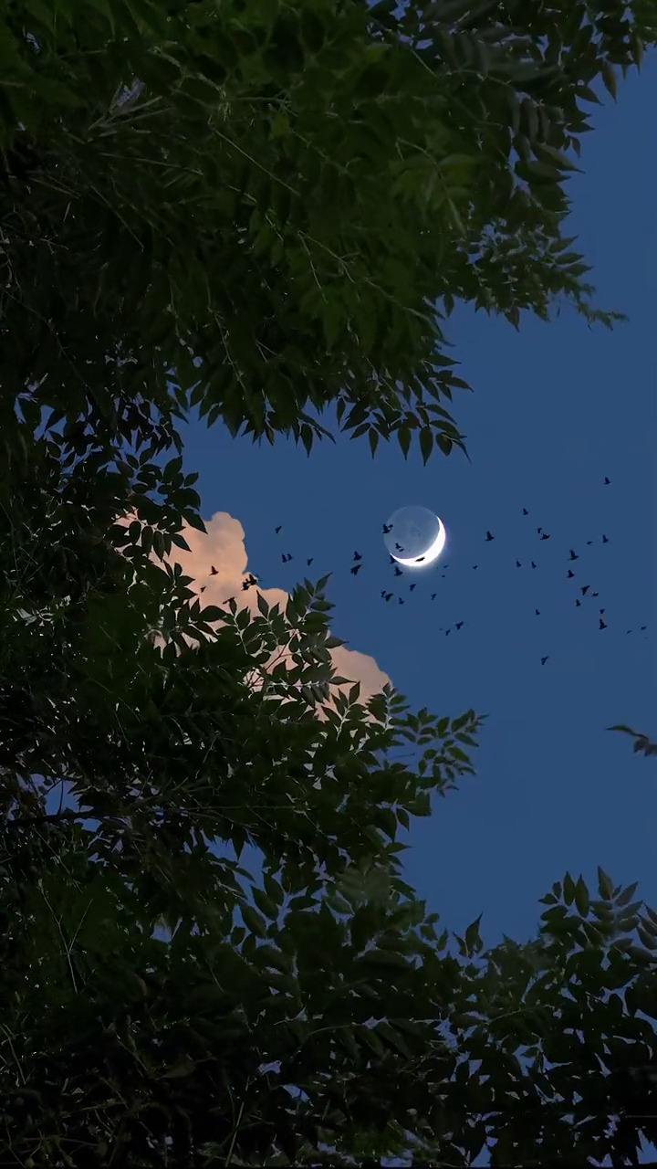 在这个炎热的三伏天盛夏夜晚,遇见你特别幸运,希望你能够这么觉得