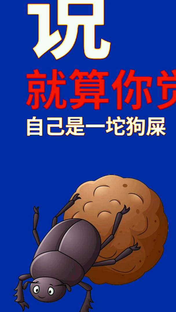 谁是段子王#这样的屎壳郎现在真少