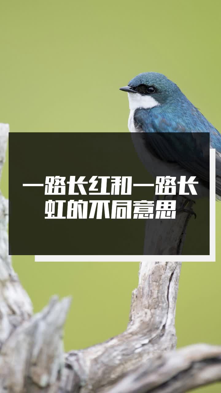 一路长红和一路长虹的不同意思