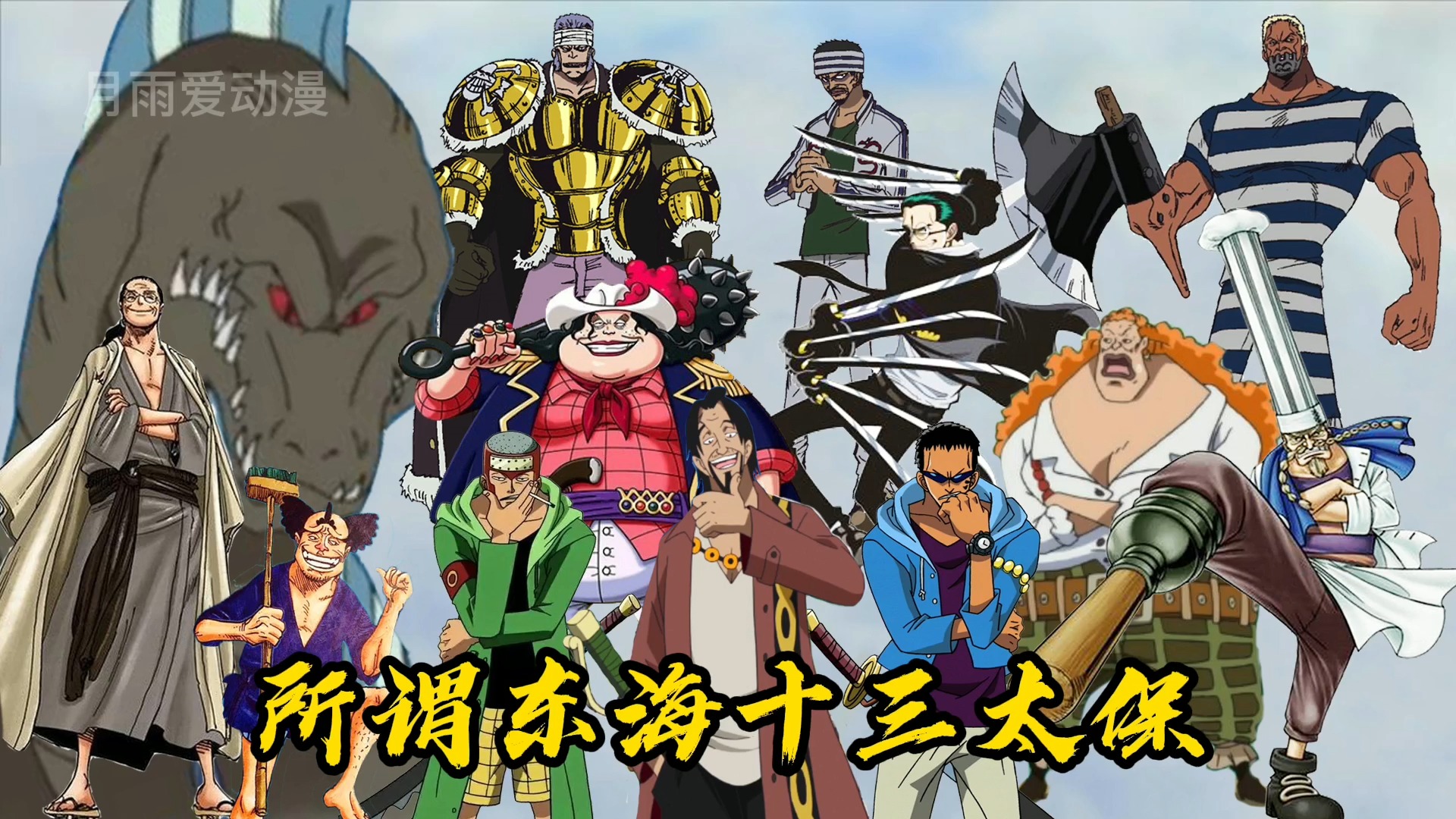 海贼王#航海王东海十三太保