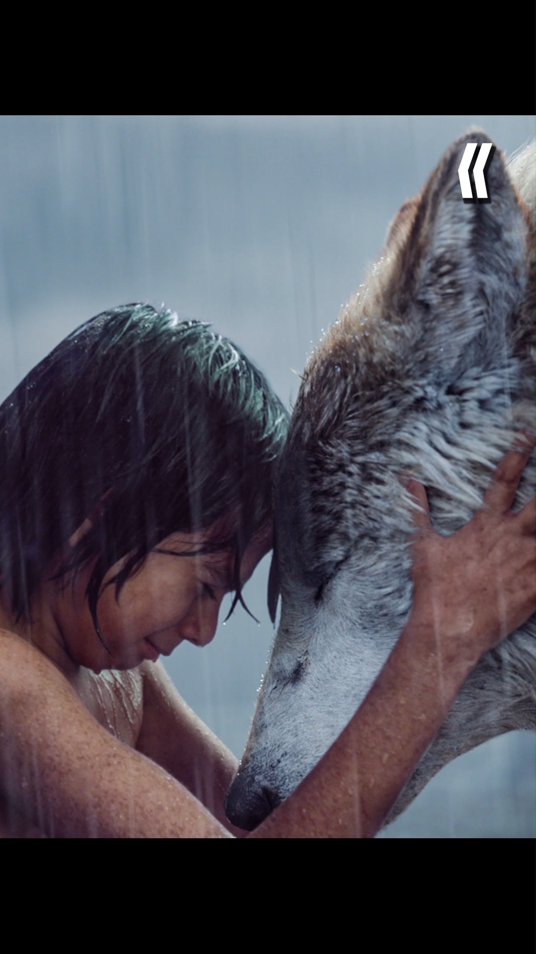 好看电影#7岁狼孩带领狼族,打败老虎成丛林之王