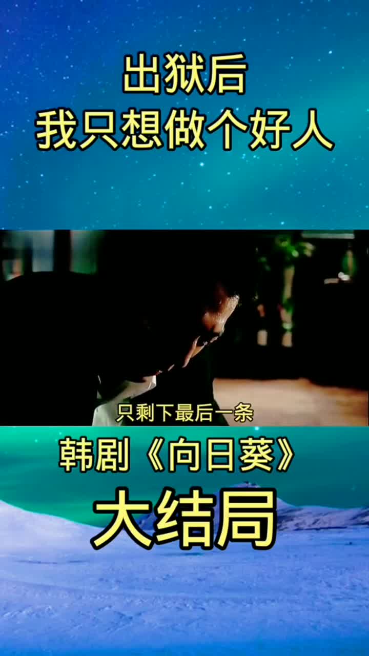出狱后我只想做个好人向日葵电影解说