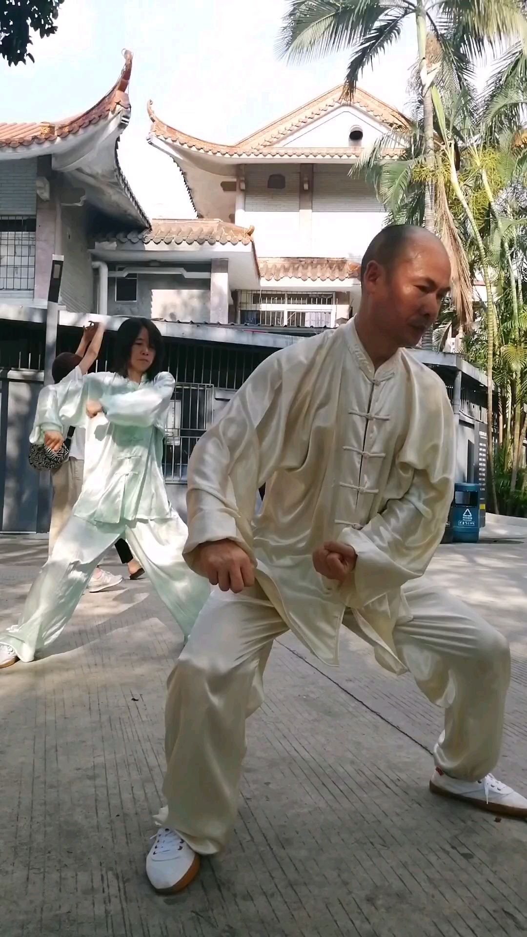 陈氏太极拳新架