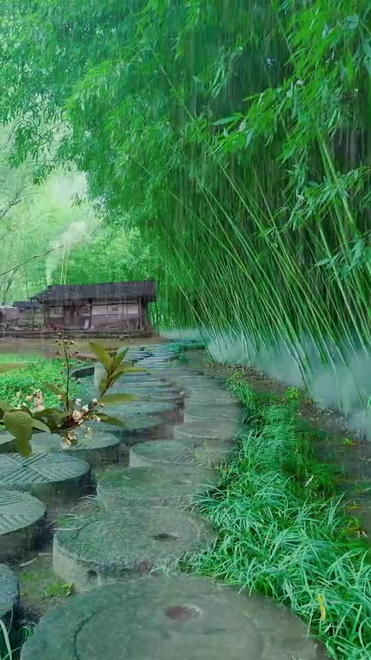 竹林听雨唯美图片图片