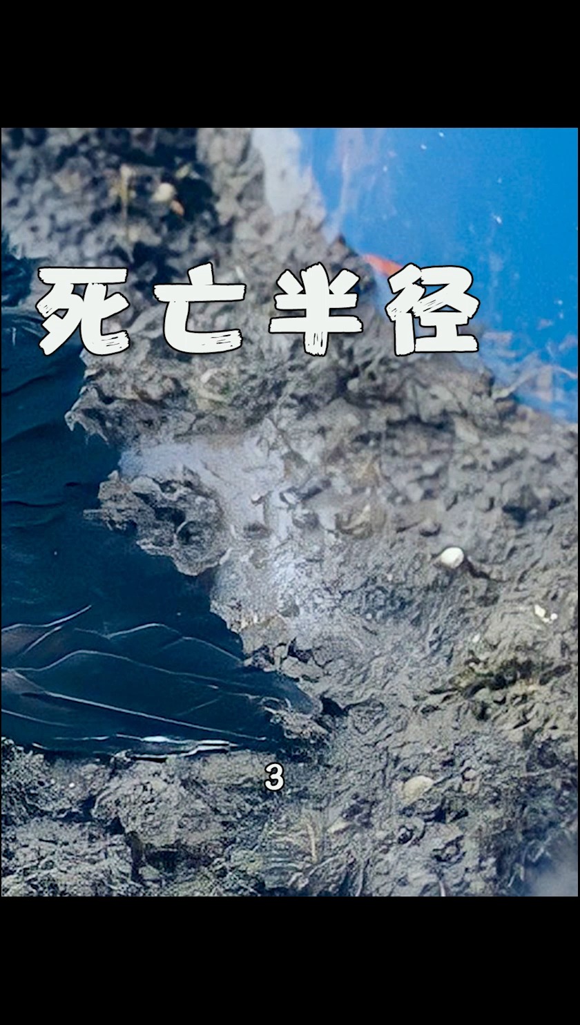 电影解说白内障开车挺会玩