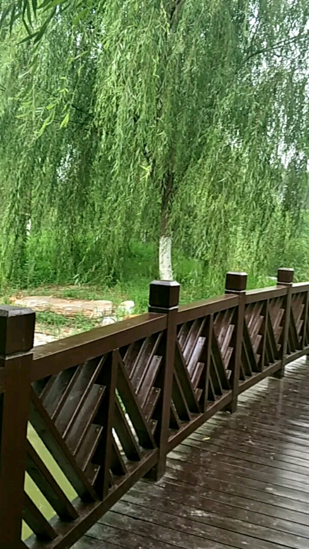 阜城八景公园园景