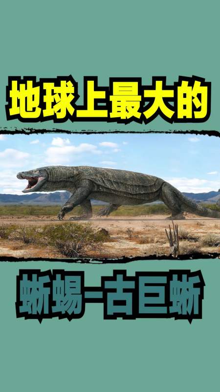 蜥蜴#地球上最大的蜥蜴-古巨蜥-度小视