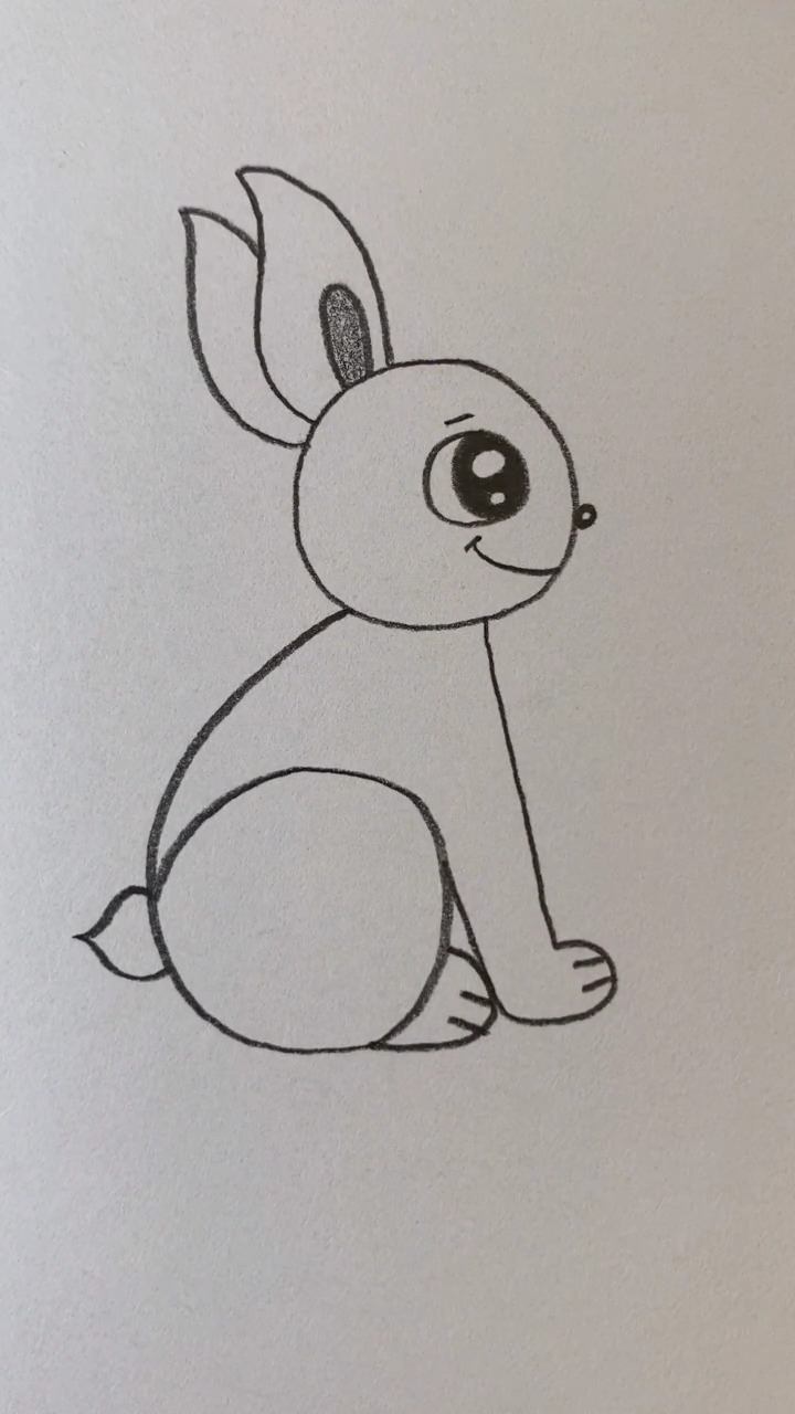 简笔画教你画非常可爱的小白兔