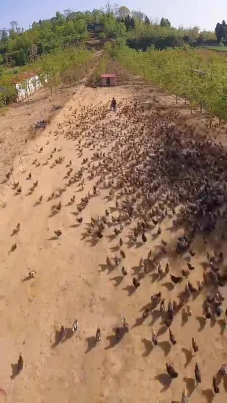 我要上热门#最接地气的土味告白