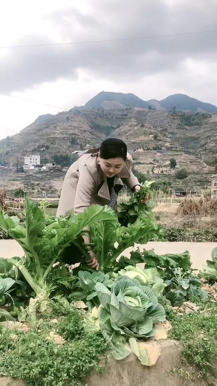 我要上热门#美女在地里摘菜,打扮得漂漂亮亮,一看就不是农村人