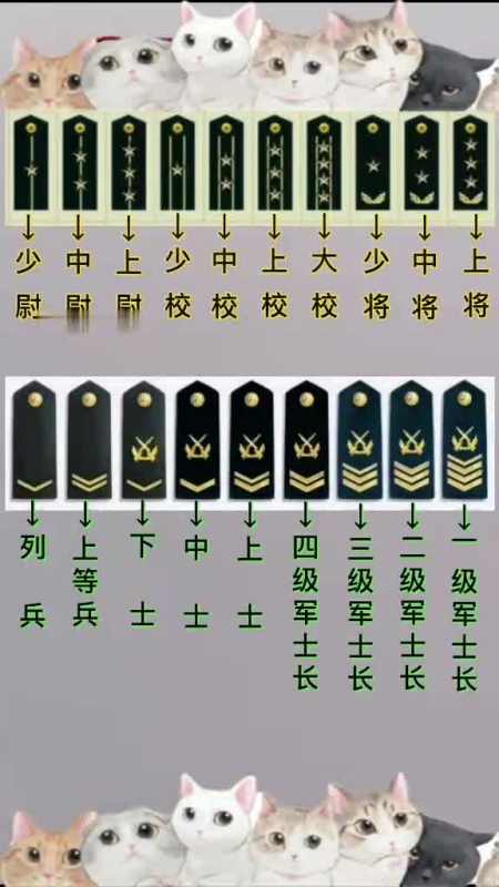 八秒钟教会你识别大中国的军衔