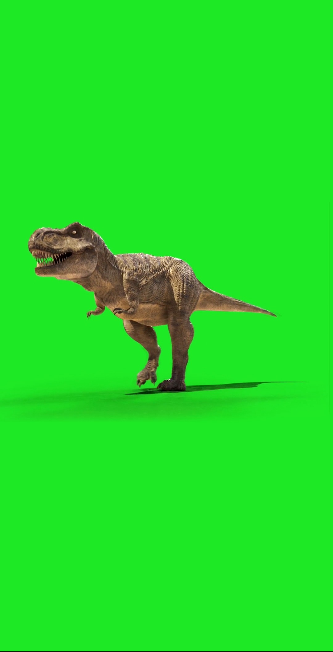 绿幕素材#绿幕恐龙素材,安排给你们
