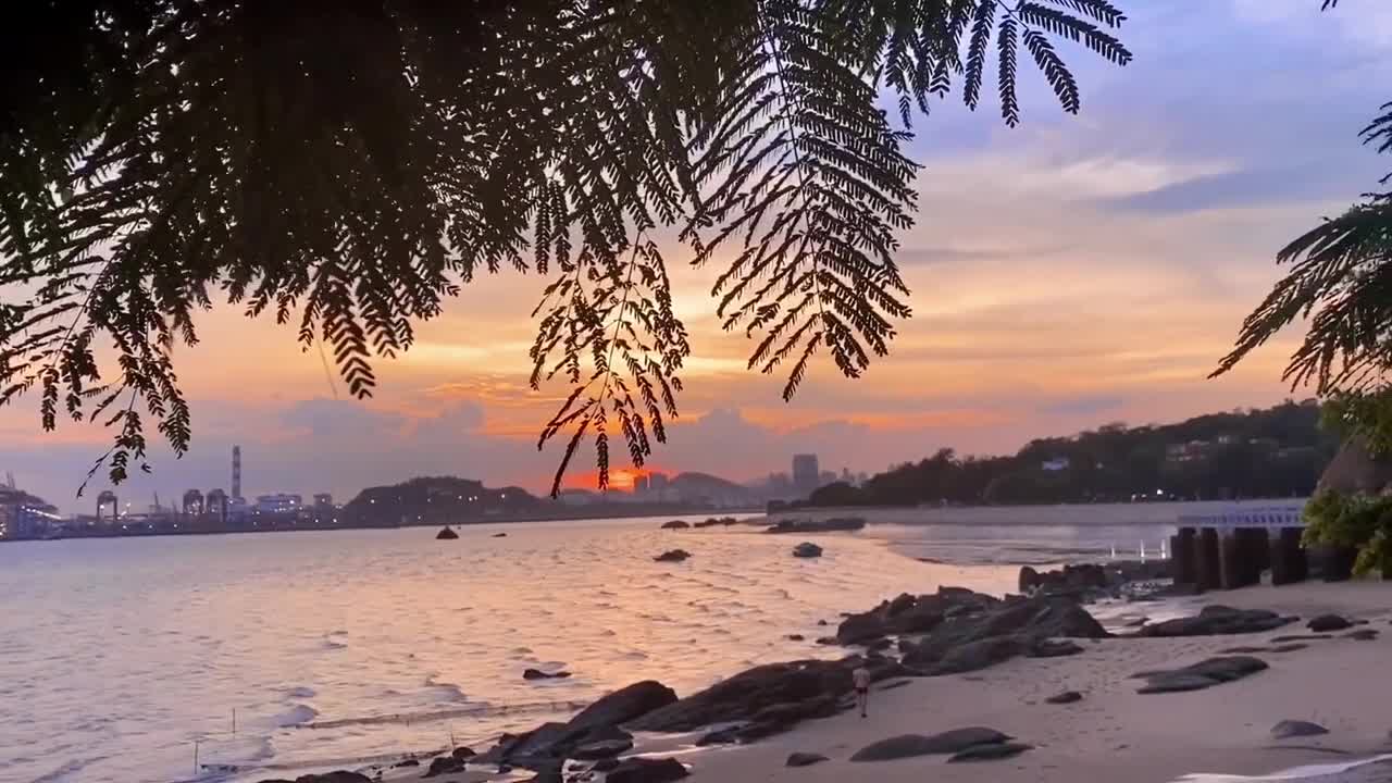 一起吹过晚风的人大概会记得久一点海南自贸星推官三亚发布独自流浪