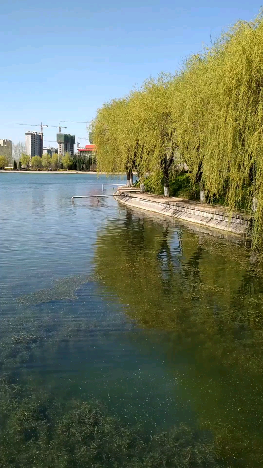 萊蕪孝義河風景