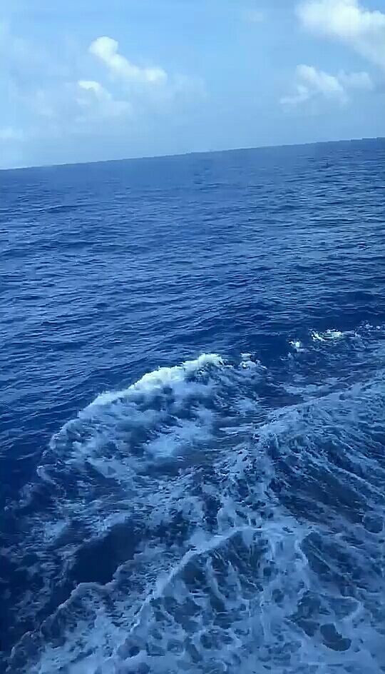 茫茫大海,真漂亮.