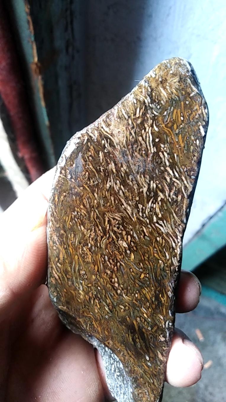 草花玉   也叫桫椤玉