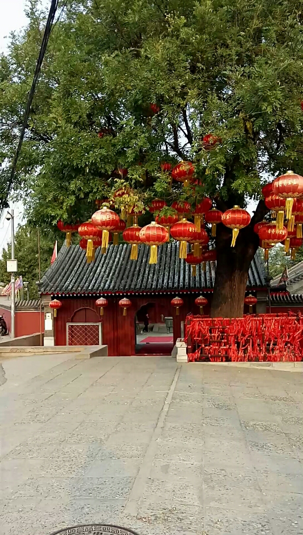 北京丰台区药王庙图片