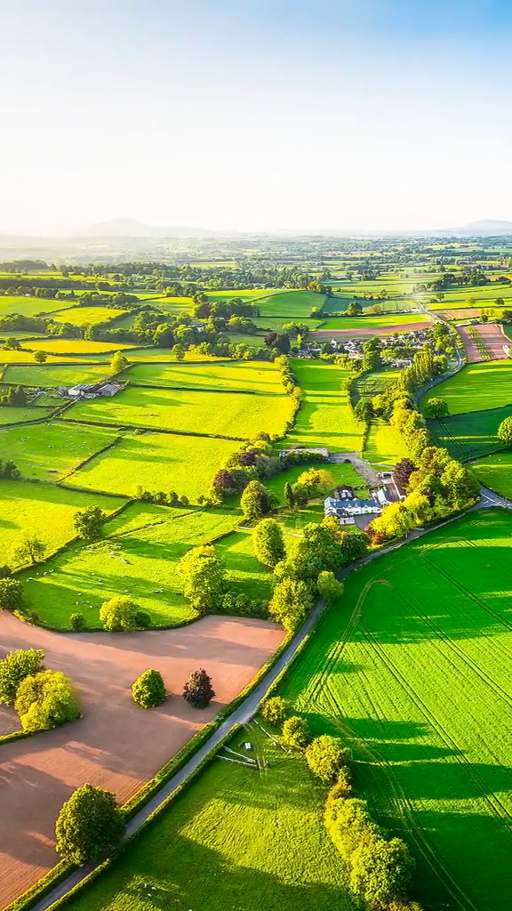 农村美景#这是哪里的农田,太美了