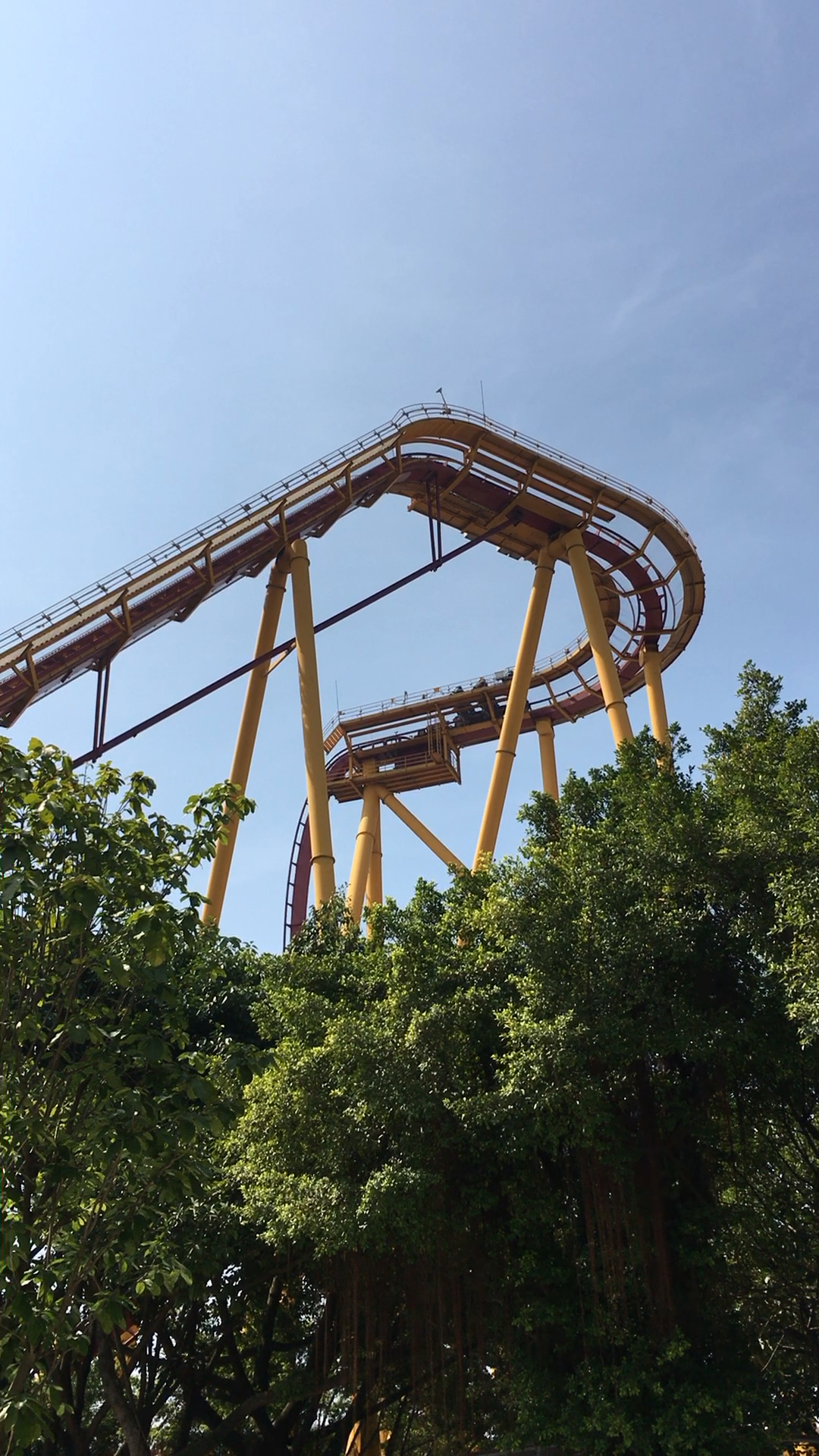 太刺激,广州长隆过山车,要的就是心跳