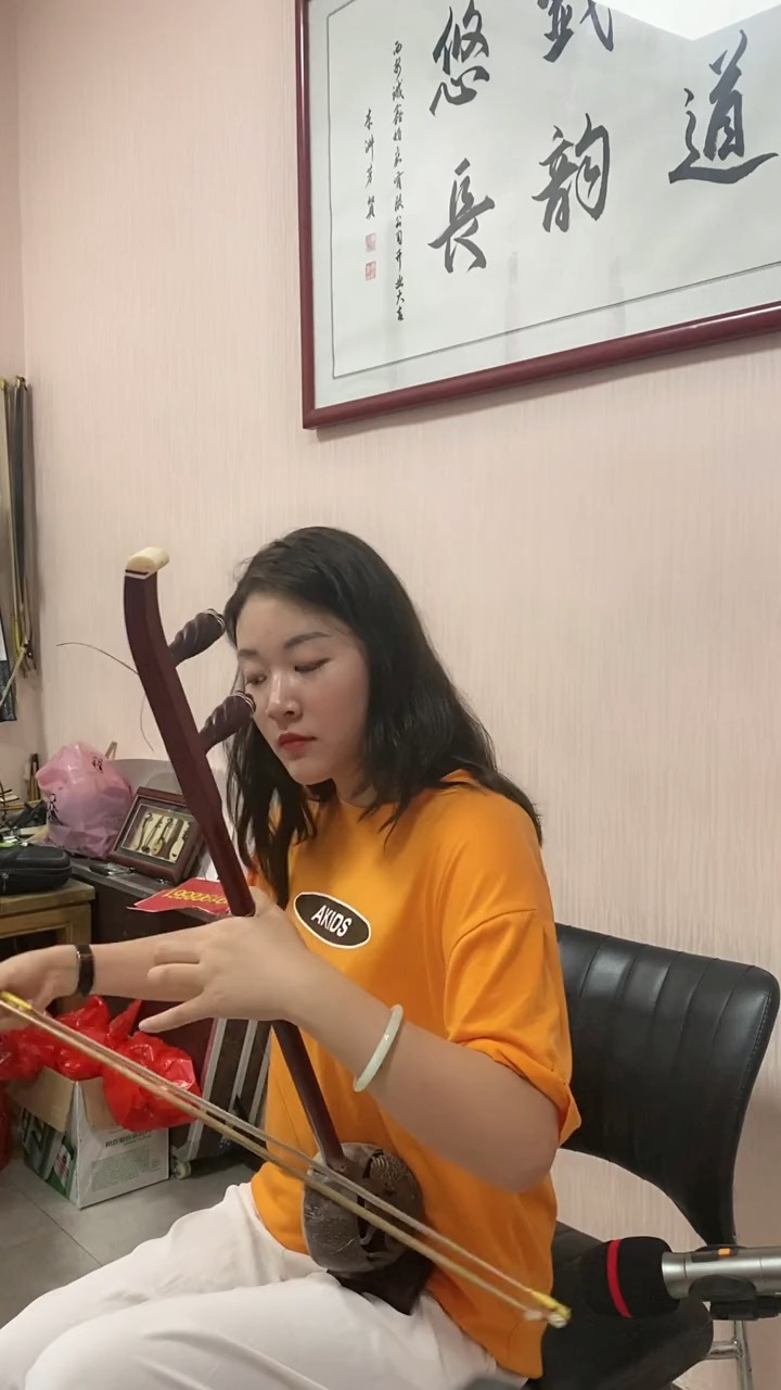 古典中国风国风民乐艺术欣赏板胡拉奏农家乐弘扬民乐文化