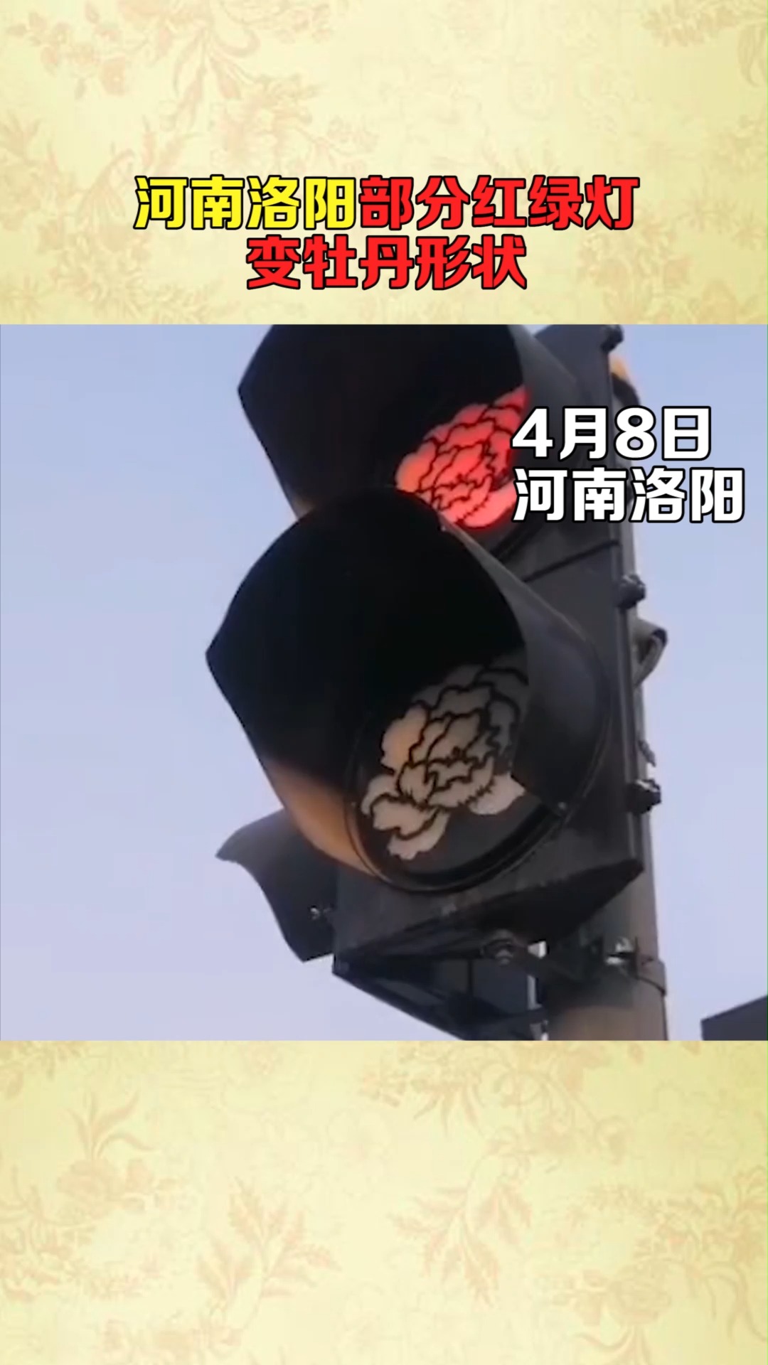 河南洛阳部分红绿灯变牡丹形状!