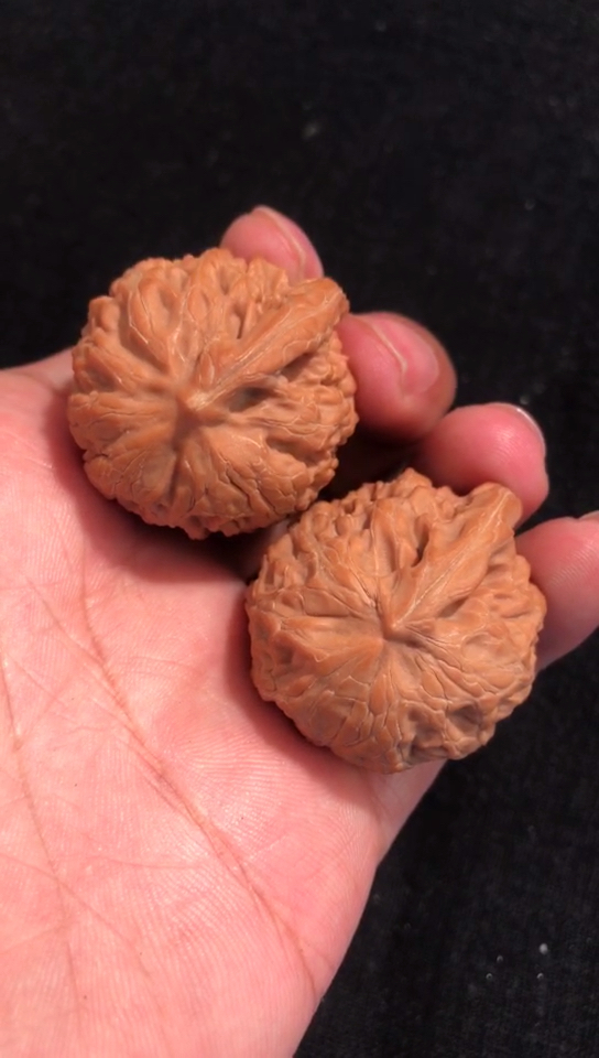 文玩核桃一道筋,这配对绝了