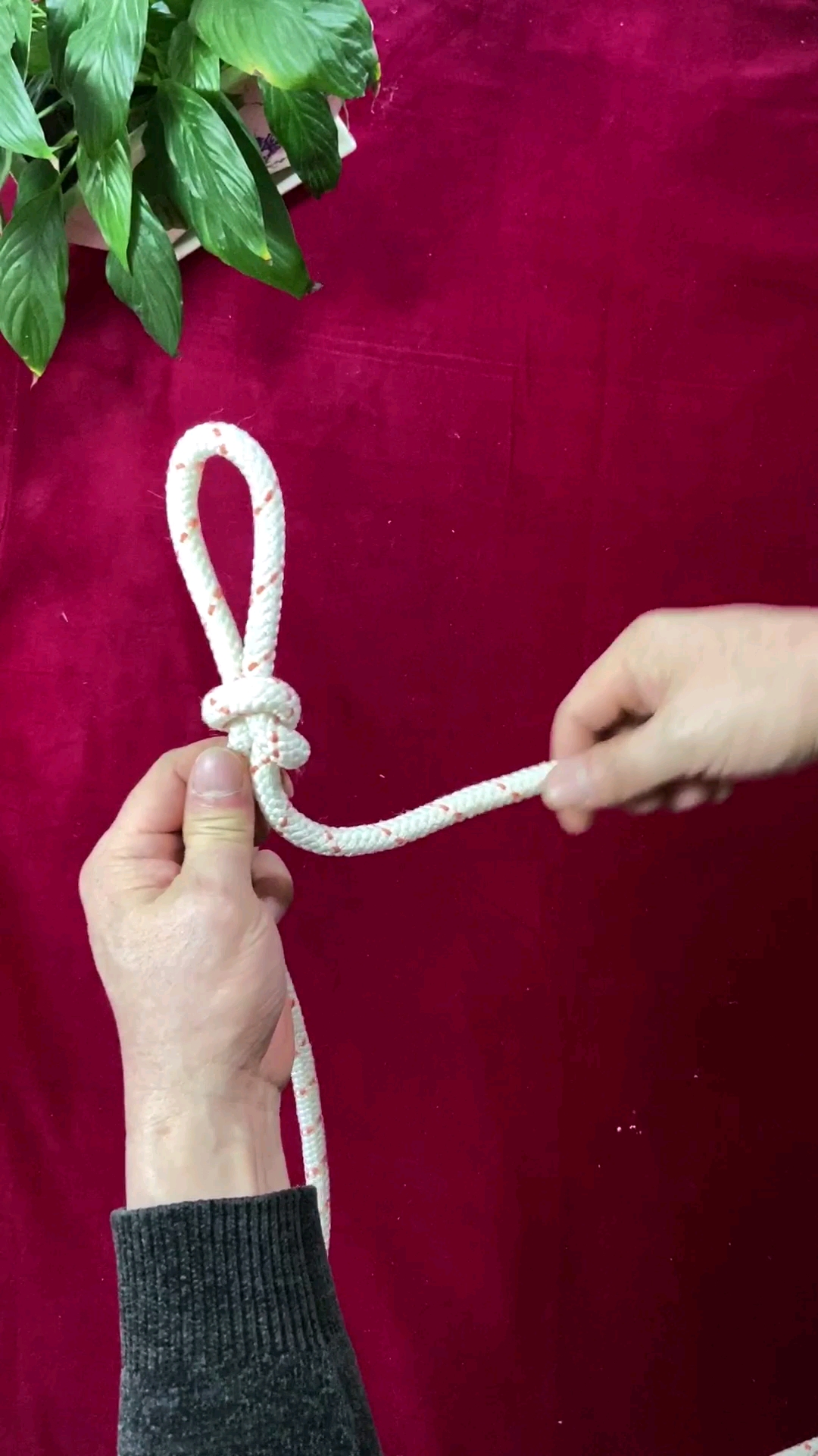 实用绳结#一结多用的防脱结