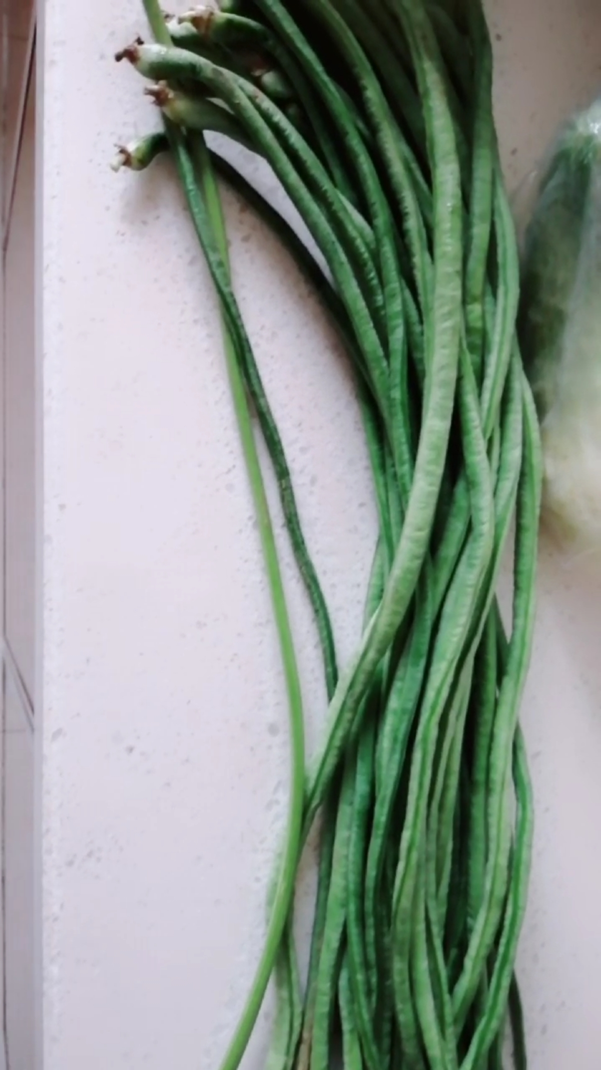 有一根疑似豇豆角