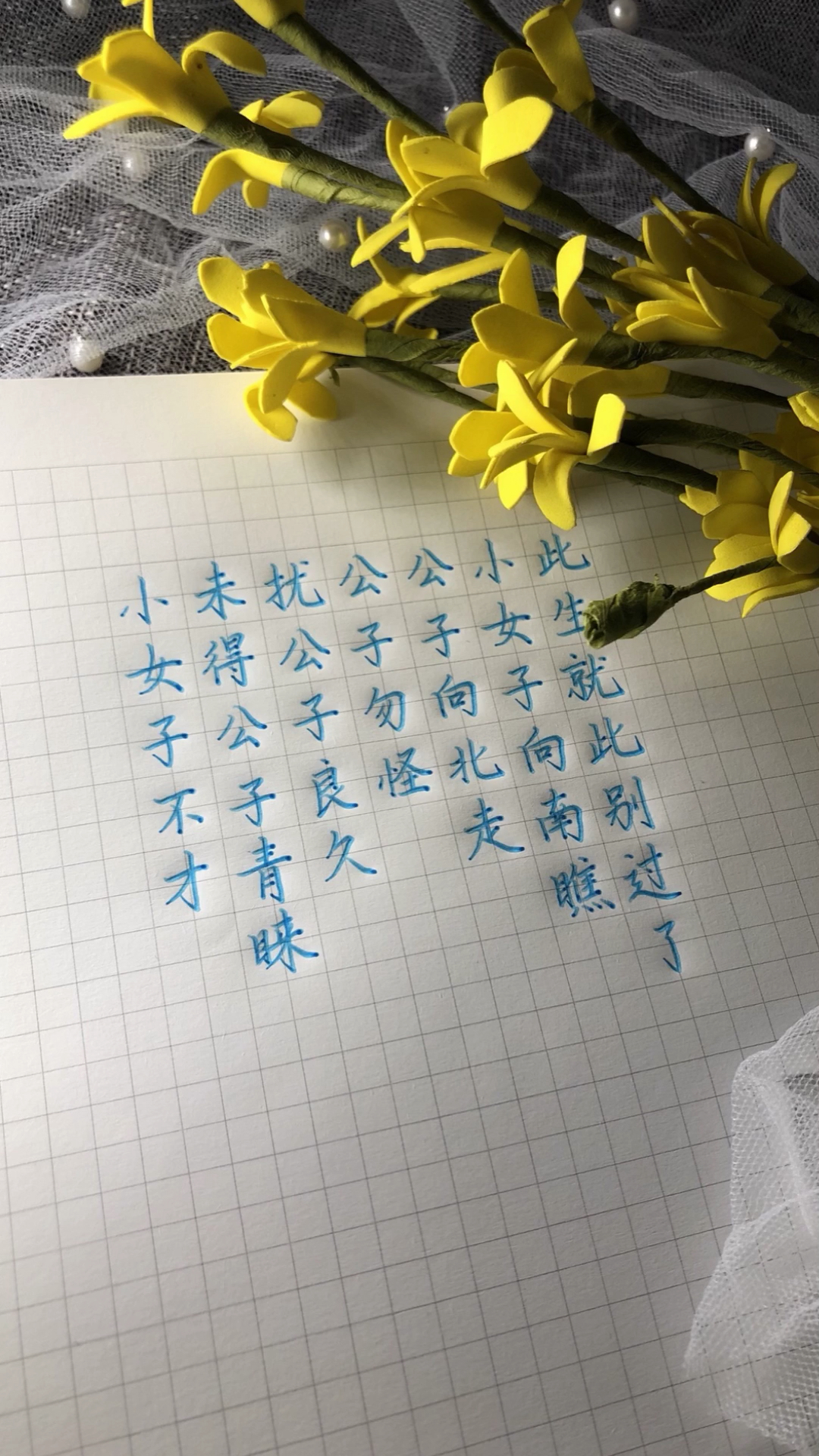 小女子不才,未得公子青睐