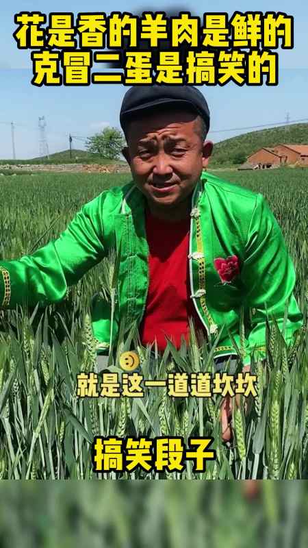 天是蓝的云是白的花是香的羊肉是鲜的克冒二蛋是搞笑的#搞笑#我的兄弟