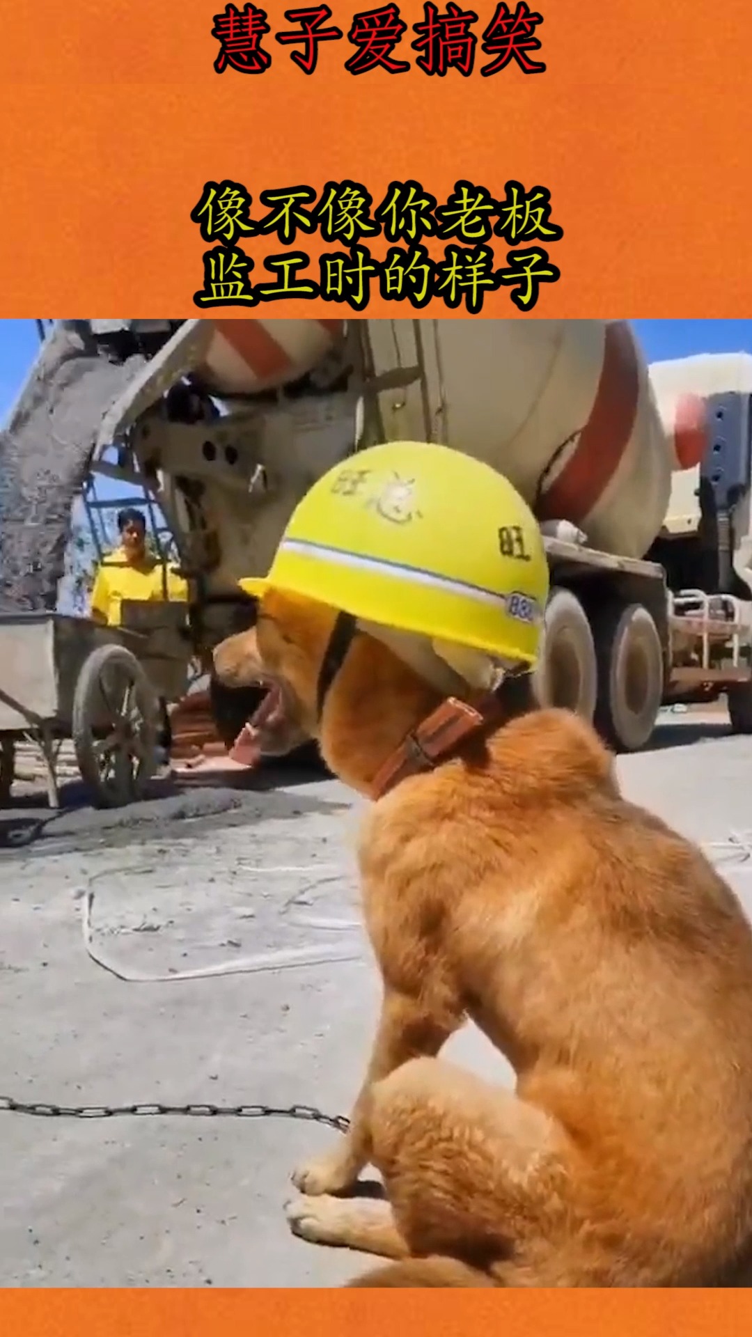 我要上热门#像不像你老板监工时的样子
