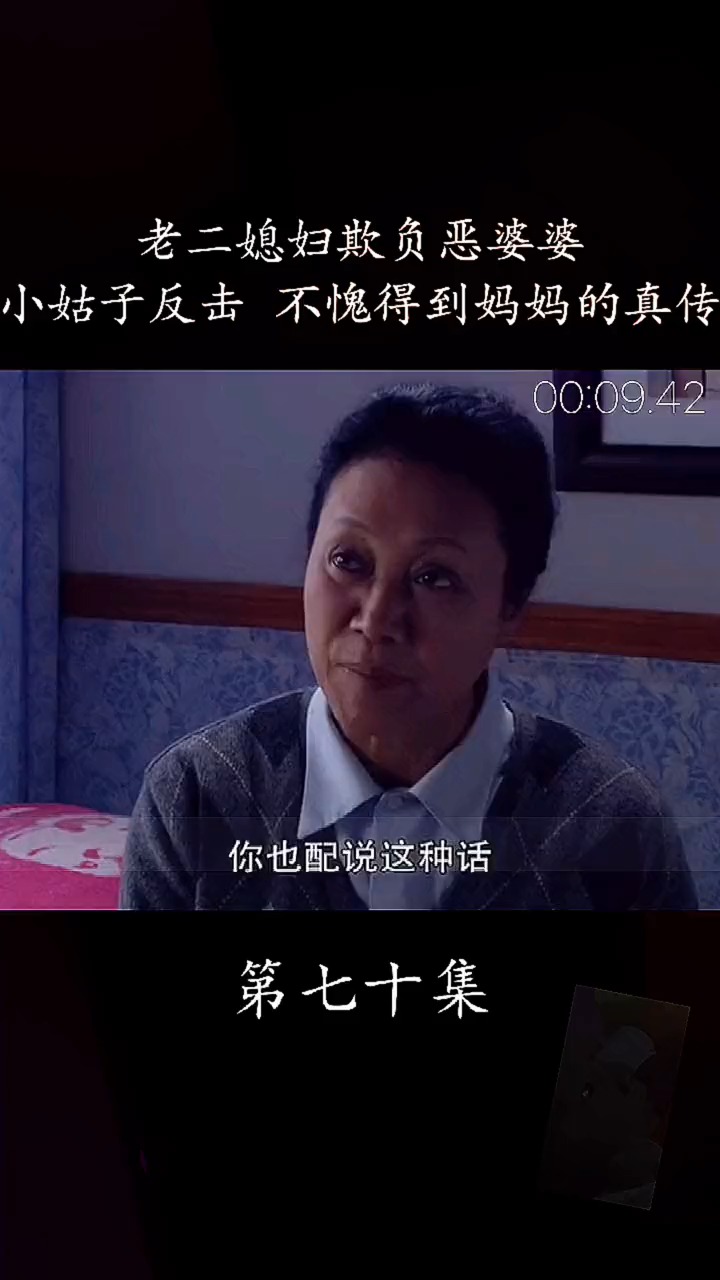 老二媳妇欺负恶婆婆小姑子反击