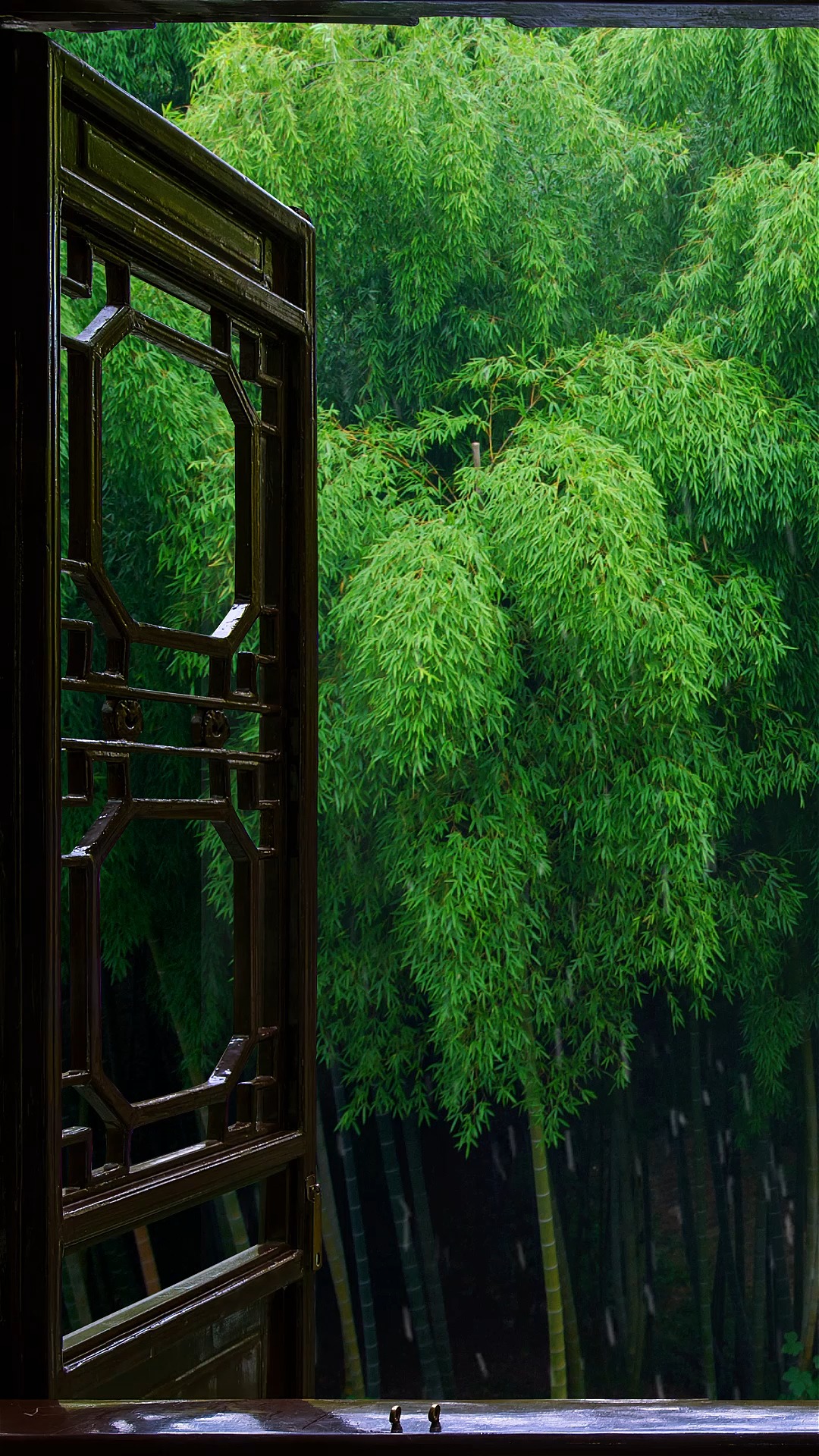 竹林听雨,品一种静,享一时闲暇,得一片悠然清绝