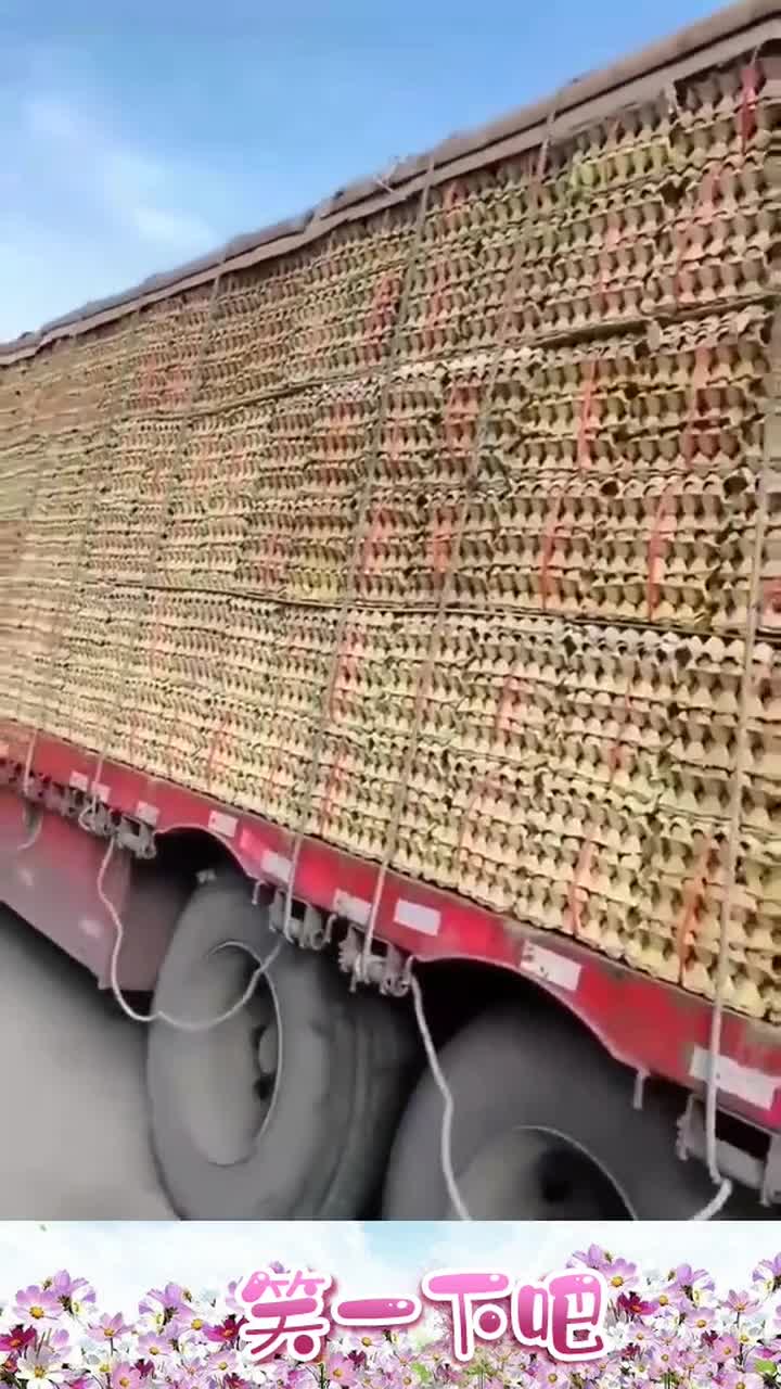 这么一车鸡蛋,是怎么装上去的卸车可要费老大功夫了
