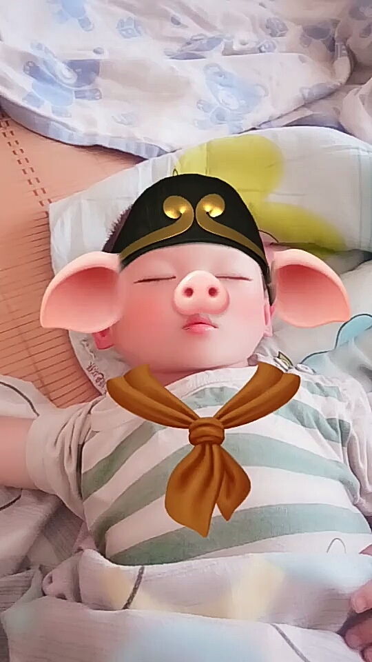 起床了小猪