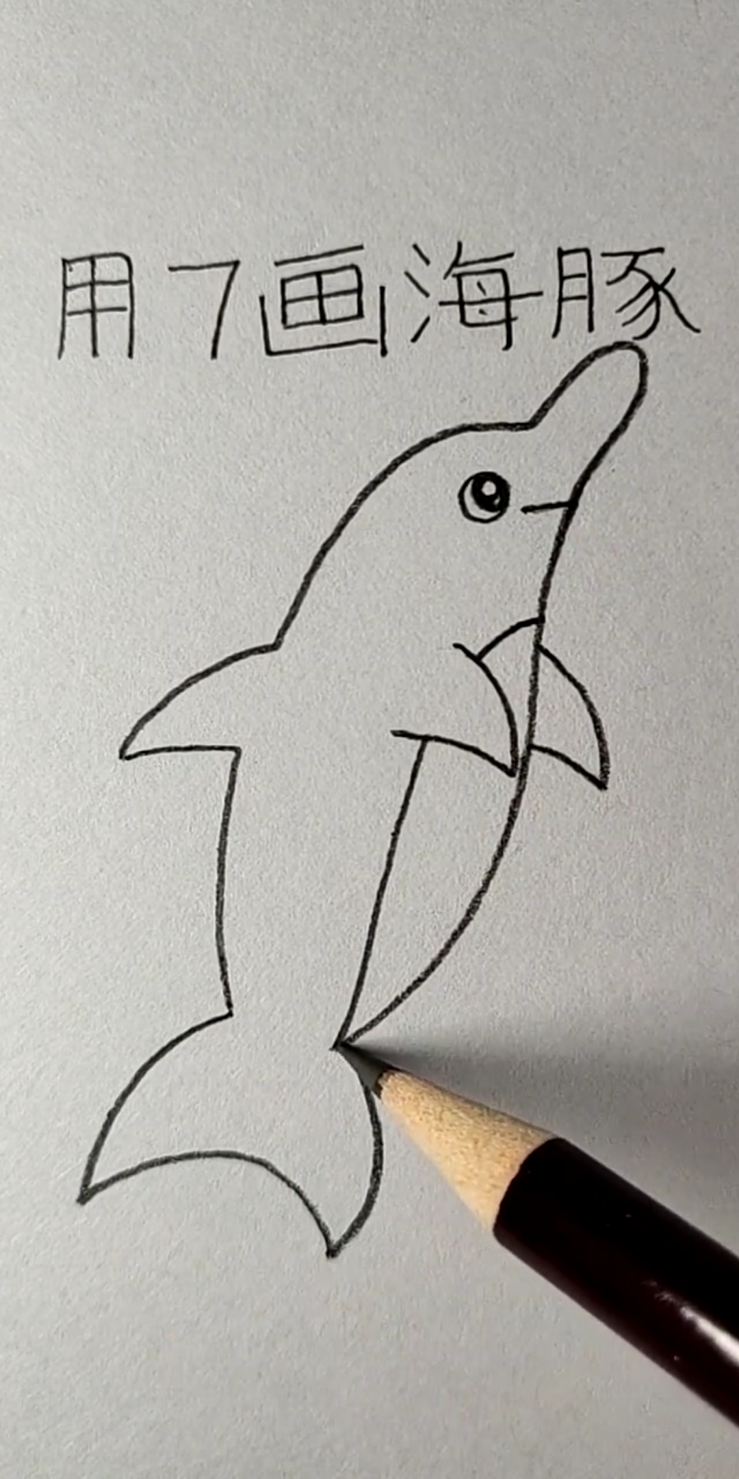 海豚的画法图片