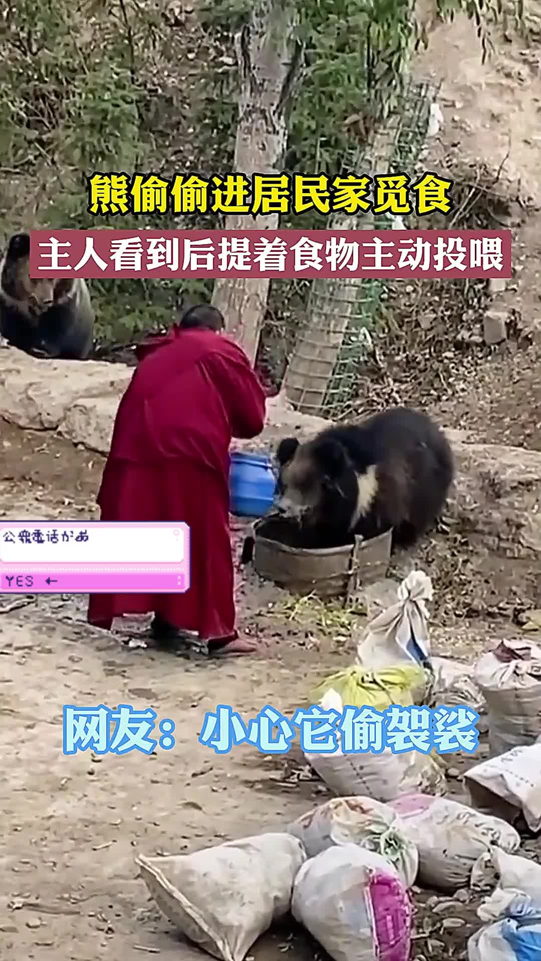 为什么说小狗要偷袈裟图片