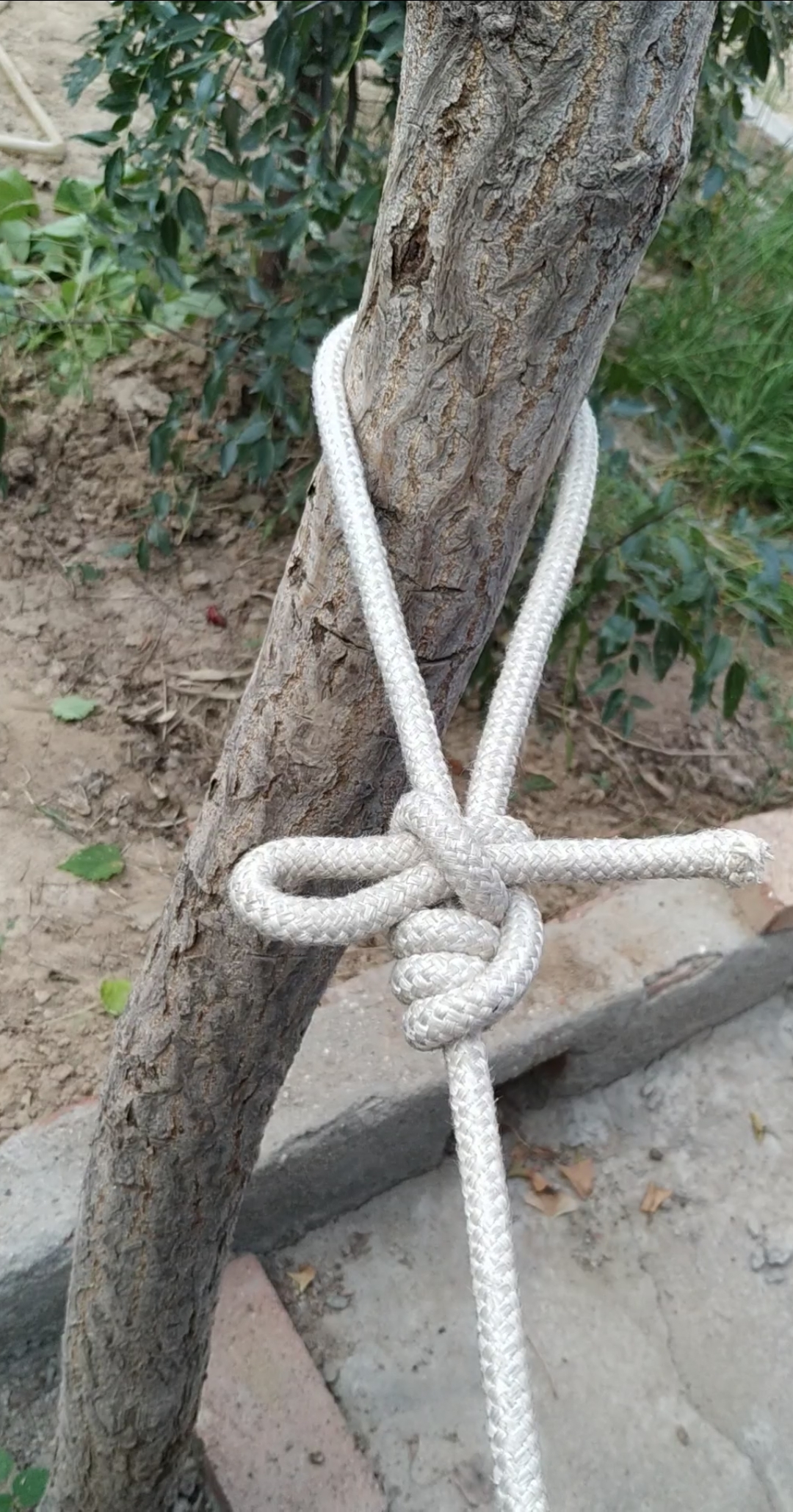 实用绳结#拉帐篷晾衣服常用的营钉结!