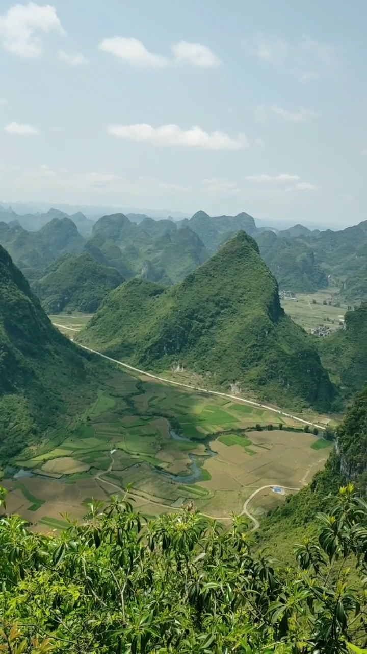 广西十万大山