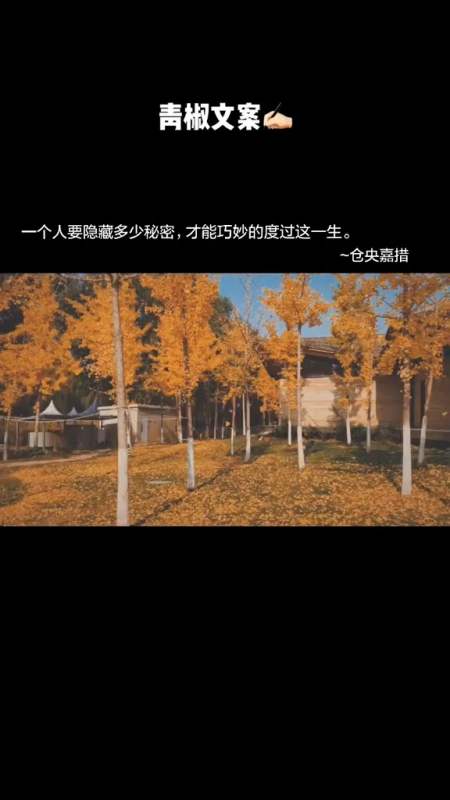 文案#一个人要隐藏多少秘密,才能巧妙的度过这一生