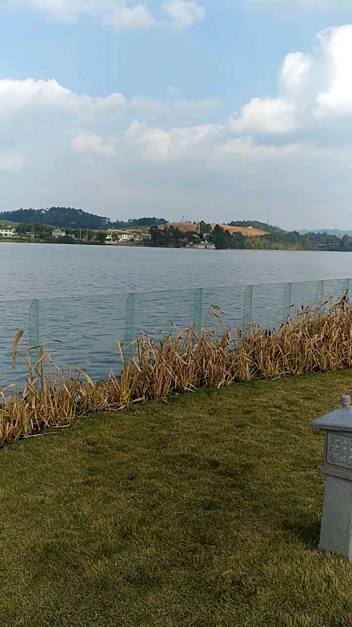 青神汉阳湖景区环境优美!