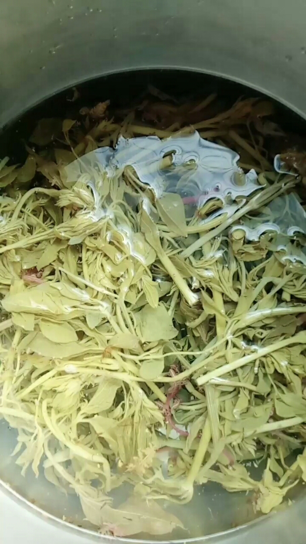 山菜之辣椒秧子