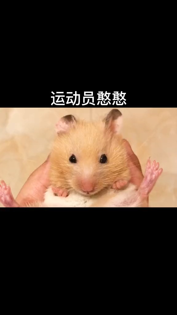 请大家忽略憨妈本憨的声音